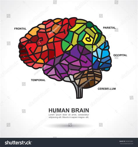 Mosaic Human Brain Art Text On Stock Vector (Royalty Free) 303653981 ...