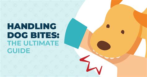 Handling Dog Bites: The Ultimate Guide | RMD Law