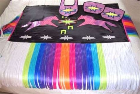 Native American Fancy Shawl Pow wow Regalia Teen/Women's Large - eBay ...