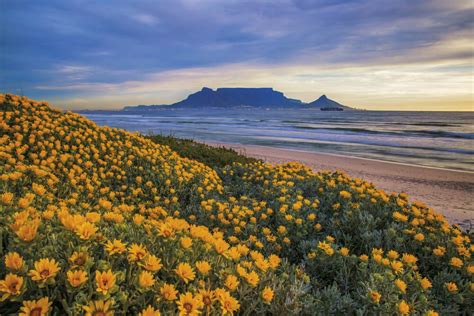 Cape Town Events in September 2019 | Expat CapeTown Event Calendar