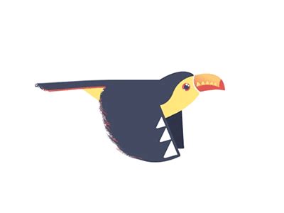 Toucan flap cycle | Motion design animation, Gif animated images, Animated drawings