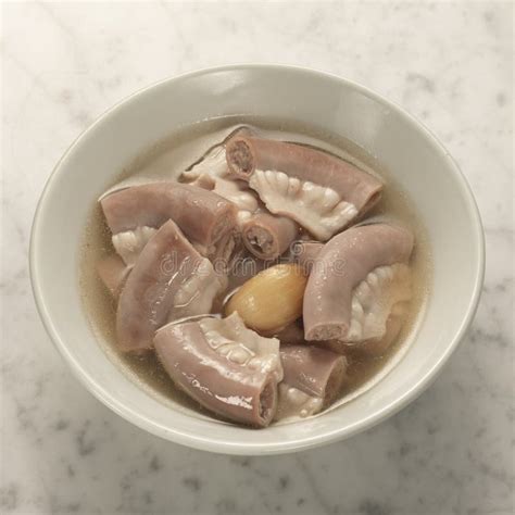 Boiled pig intestines stock photo. Image of curd, pasta - 31895742