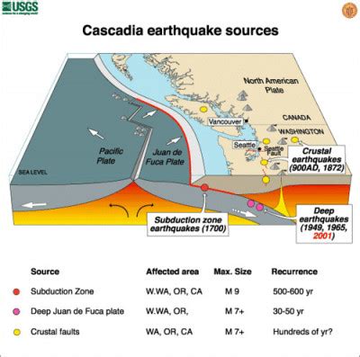 Cascadia Earthquake • Emergency Management • Lewis & Clark