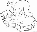 Polar Bear Cub And Mom On The Ice Coloring Page Printable sketch template