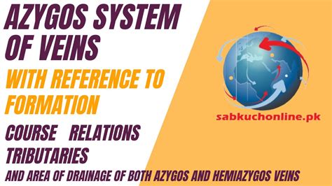 Azygos system of veins with reference to formation, course, relations ...