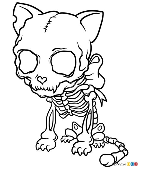 How to Draw Cat Skeleton, Skeletons