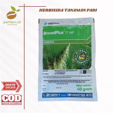 Jual HERBISIDA PADI BROADPLUS 100GR- PENGENDALI RUMPUT PADI | Shopee ...