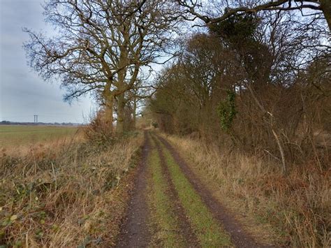 Green Lane © Oscar Taylor cc-by-sa/2.0 :: Geograph Britain and Ireland