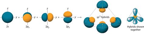 4.5: Hybrid Orbitals - Chemistry LibreTexts