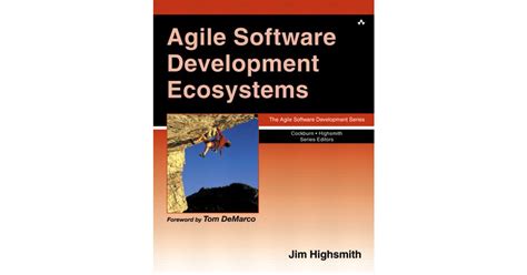 Agile Software Development Ecosystems[Book]