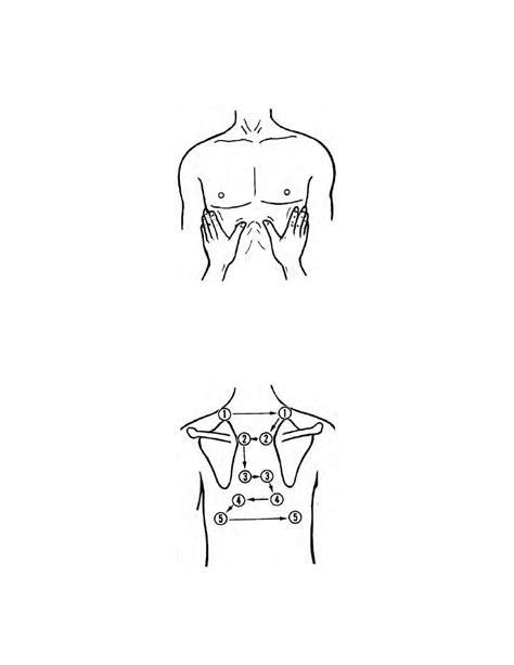 Palpate the Chest for Tactile Fremitus - Respiratory Diseases and Disorders