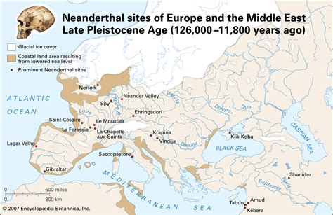 Neanderthal | Characteristics, DNA, & Facts | Britannica