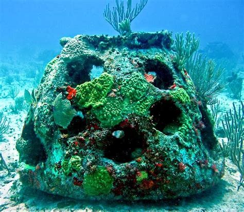 Bury Me in an Artificial Reef - Atlas Obscura