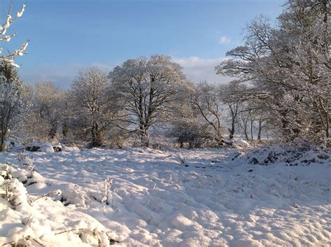 Snow in welsh countryside | Welsh countryside, Visit wales, Relaxing ...