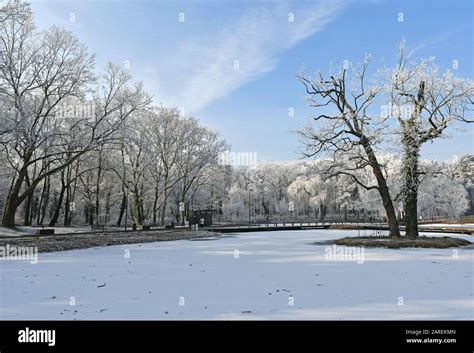 Winter woods at the lakeside Stock Photo - Alamy