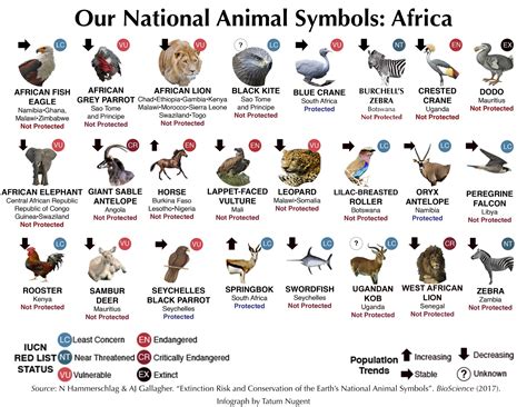 Text Symbols Animals