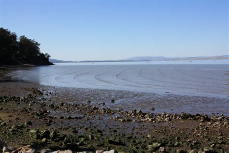 McNears Beach Park in San Rafael, CA - California Beaches