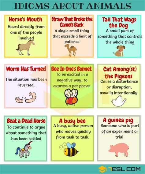 Animal Idioms: 165 Useful Animal Idioms from A-Z • 7ESL