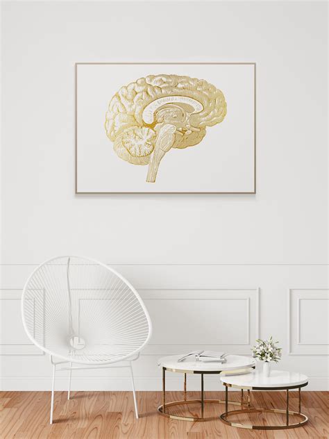 Brain Anatomy Cross Section Human Brain Medical Art Neurology | Etsy