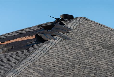 How to Spot and Fix Roof Damage