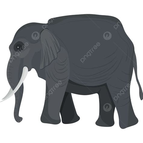 Gambar Gambar Gajah Transparan Gratis, Hewan, Gajah, Gading PNG dan Vektor dengan Background ...