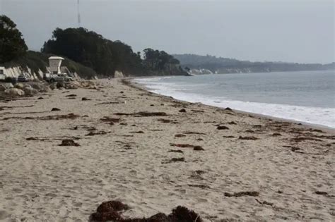 Goleta Beach Park in Goleta, CA - California Beaches