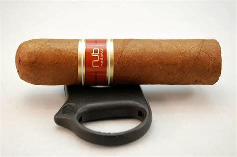 Cigar Pairing With Food - My Cigar Site