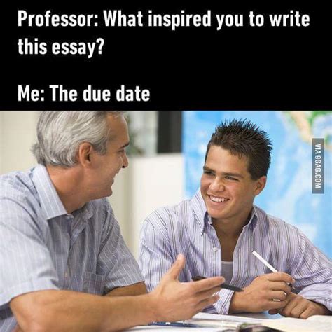 The best Essays memes :) Memedroid