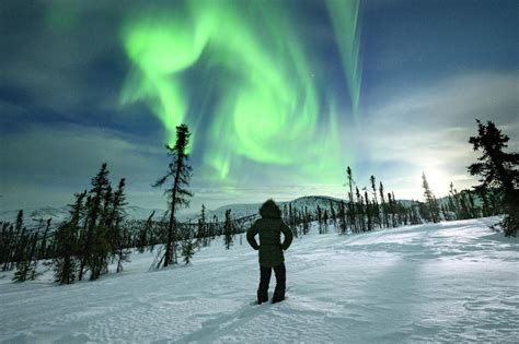 How to Plan the Ultimate Alaska Winter Vacation | Travel Alaska