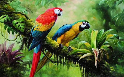 Macaw Parrot Wild Birds From Jungle Rainforest Swamp Green Dense Vegetation Art Photography ...