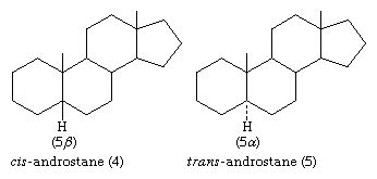 Steroid - Numbering, Nomenclature, System | Britannica