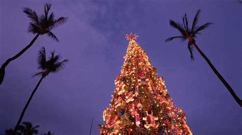 Hawaii Christmas Wallpapers - Top Free Hawaii Christmas Backgrounds - WallpaperAccess