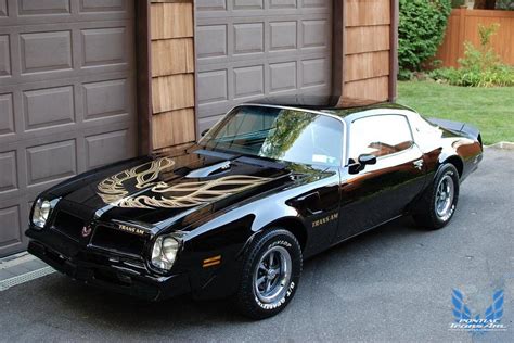 1976 Pontiac Firebird Trans Am Black and Gold | Pontiac Firebird Trans Am