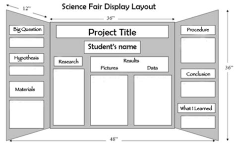 Science Fair Project Board | Examples & How to Design | Edrawmax