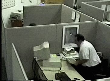 On The Computer GIFs - Find & Share on GIPHY