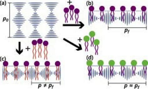 Changes to the different parameters of the amphiphile structure will... | Download Scientific ...