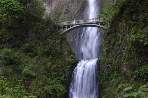 The 15 Best Hikes Near Portland, Oregon | Landing