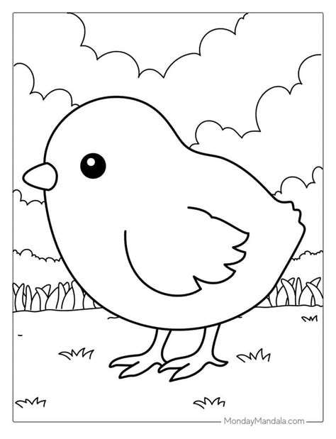 Baby Chick Hatching Coloring Page