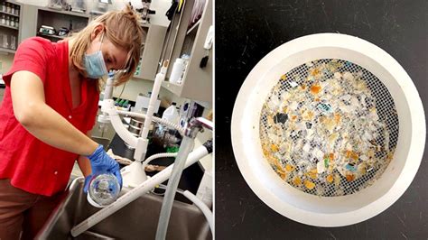 Measuring Microplastics | BioCycle