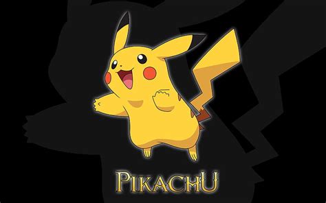 Pokemon Background Pikachu - Nehru Memorial