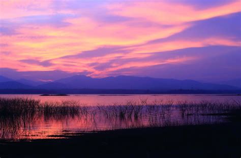 Sunset silhouette tree on the lake 10257942 Stock Photo at Vecteezy