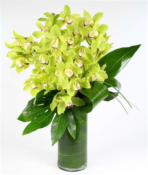 Sizzling Cymbidium Bouquet in Saint Paul, MN | Iron Violets Design Studio