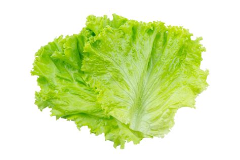 Types of Lettuce ⋆ 100 Days of Real Food