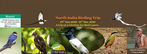 Birding tours India, Bird Watching Tours India, Birding in India