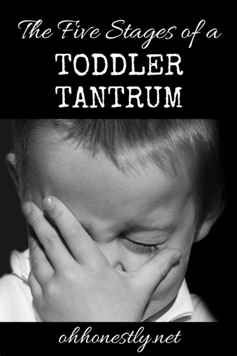 The Five Stages of a Toddler Tantrum