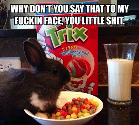 Silly Rabbit Trix are for kids - Meme Guy