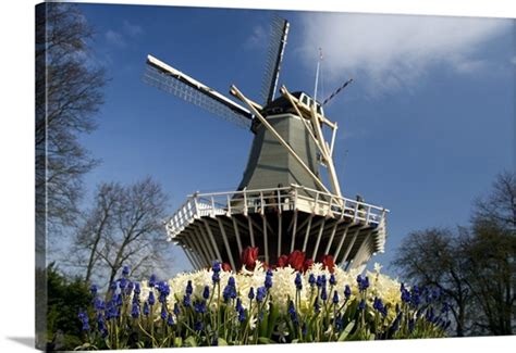 The Netherlands. Keukenhof Gardens, Keukenhof Windmill Photo Canvas Print | Great Big Canvas
