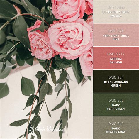 Blush Pink Color Palette