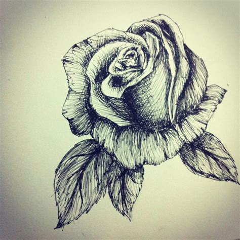 Rose pen sketch by bubblesatemojo on DeviantArt