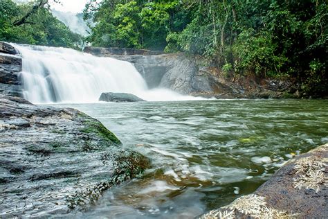 Thommankuthu Waterfalls, Idukki: How To Reach, Best Time & Tips